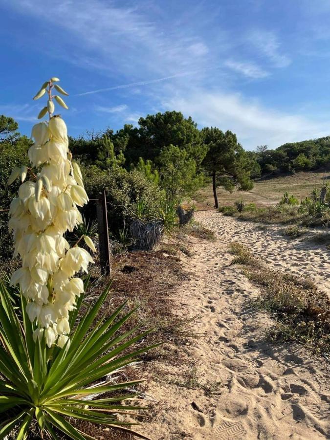 Maison Dans Les Dunes Barbâtre Eksteriør billede